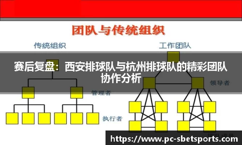 实博体育官网